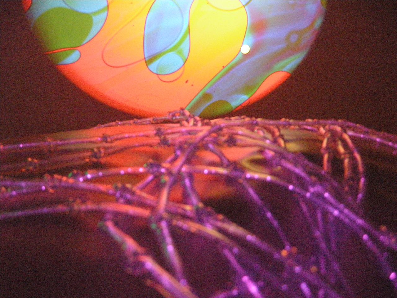 Oferta formativa em vigor